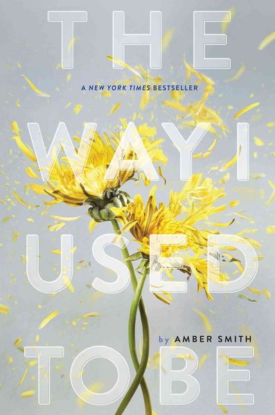 Produktbild: The Way I Used to Be