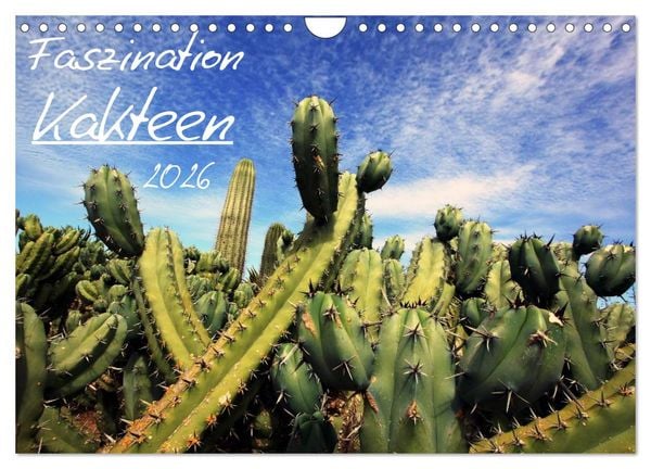 Produktbild: Faszination Kakteen (Wandkalender 2026 DIN A4 quer), CALVENDO Monatskalender