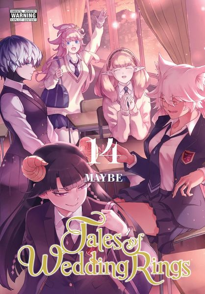 Produktbild: Tales of Wedding Rings, Vol. 14