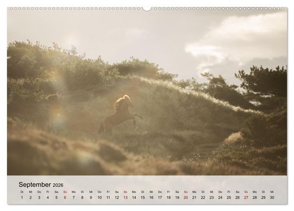 Produktbild: Pferde 2026 Kraft und Anmut (hochwertiger Premium Wandkalender 2026 DIN A2 quer), Kunstdruck in Hochglanz