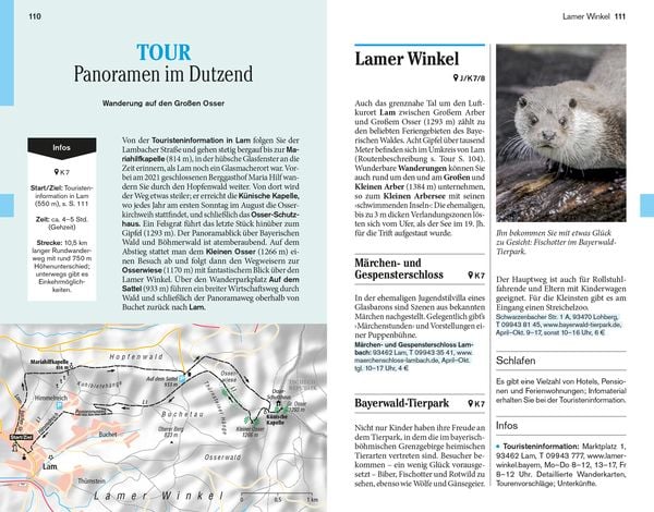 Produktbild: DUMONT Reise-Taschenbuch Reiseführer Bayerischer Wald, Regensburg, Oberpfälzer Wald