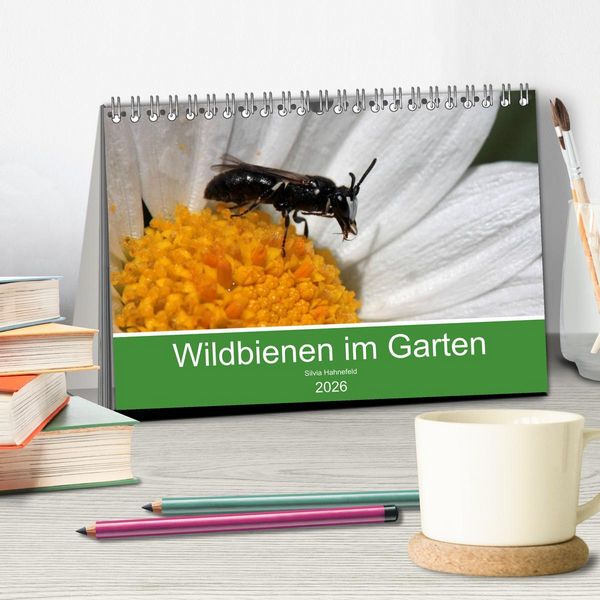 Produktbild: Wildbienen im Garten (Tischkalender 2026 DIN A5 quer), CALVENDO Monatskalender