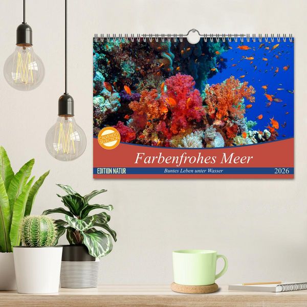 Produktbild: Farbenfrohes Meer (Wandkalender 2026 DIN A4 quer), CALVENDO Monatskalender