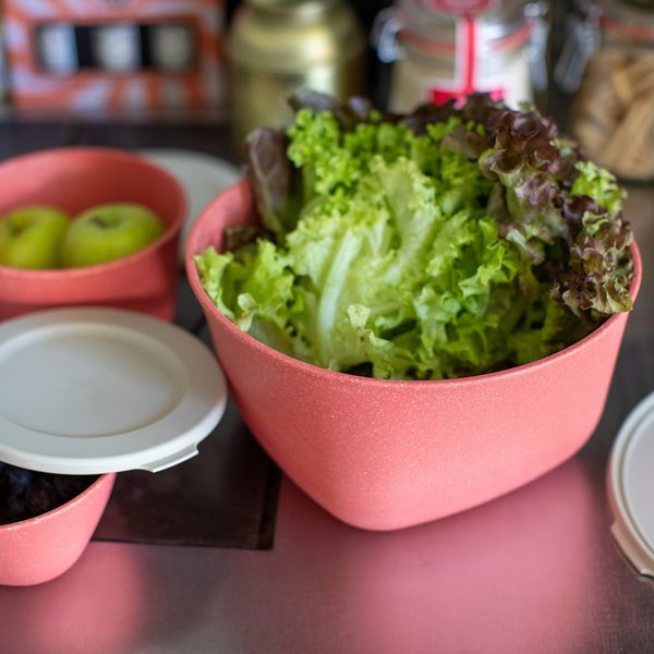 Produktbild: Koziol Box mit Deckel 2l Box mit Deckel 2l