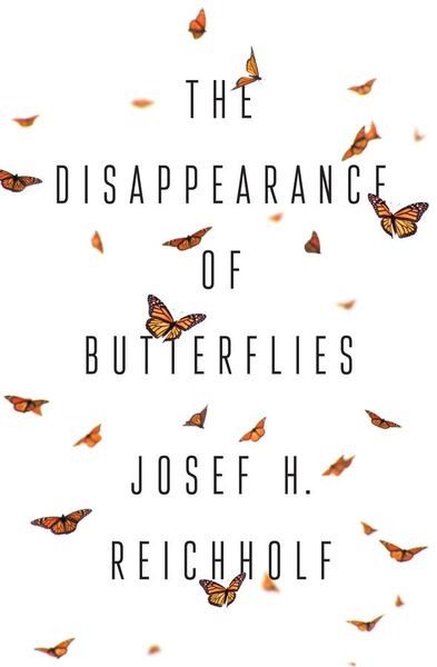 Produktbild: The Disappearance of Butterflies