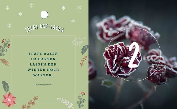 Produktbild: Mein Adventskalender-Buch: Gartenliebe