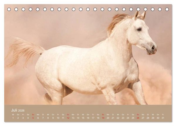 Produktbild: Pferde &bull; Araber im W&uuml;stensand (Tischkalender 2026 DIN A5 quer), CALVENDO Monatskalender