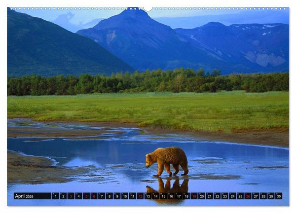 Produktbild: Alaska - Weites Land (Wandkalender 2026 DIN A2 quer), CALVENDO Monatskalender