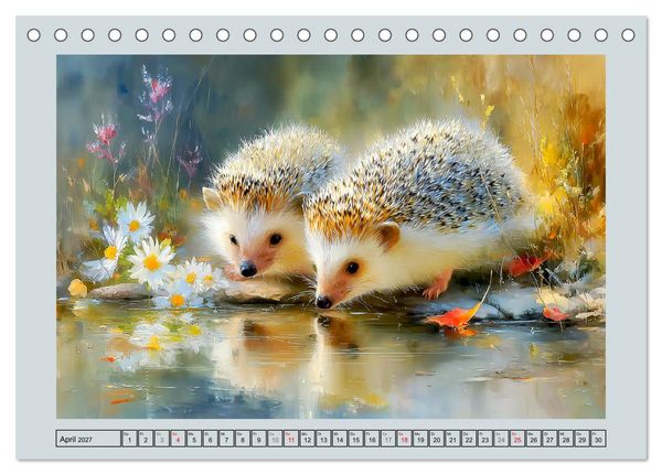 Produktbild: Igel. Kleine Gl&uuml;cksbringer im Garten (Tischkalender 2027 DIN A5 quer), CALVENDO Monatskalender