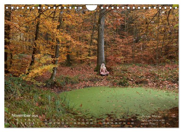 Produktbild: HAIKU AM TEICH (Wandkalender 2026 DIN A4 quer), CALVENDO Monatskalender
