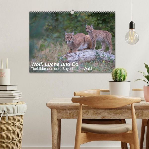 Produktbild: Wolf, Luchs und Co. - Tierbilder aus dem Bayerischen Wald (Wandkalender 2026 DIN A3 quer), CALVENDO Monatskalender