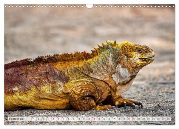 Produktbild: Drachen: Geheimnisvolles Tierreich (Wandkalender 2027 DIN A3 quer), CALVENDO Monatskalender