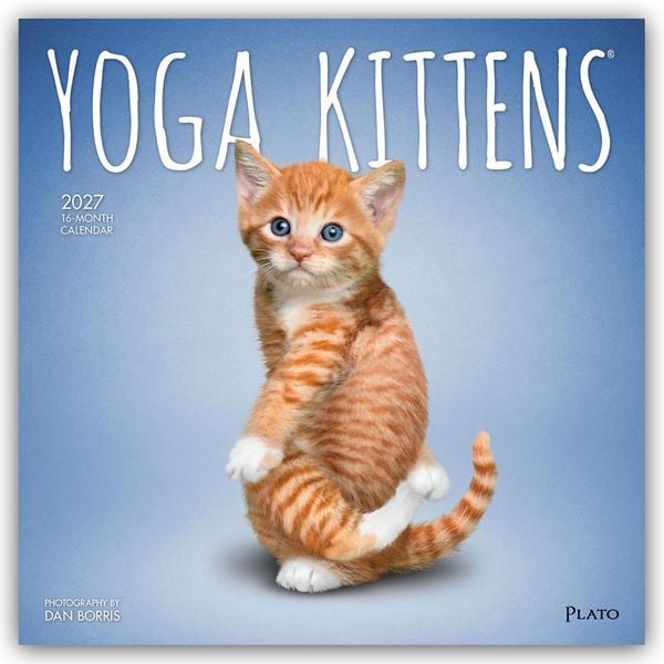 Produktbild: Yoga Kittens &ndash; K&auml;tzchen Yoga 2027 &ndash; 16-Monatskalender