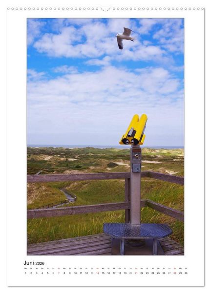 Produktbild: Amrum - Oomram, Kleine Insel - Gro&szlig;e Vielfalt (hochwertiger Premium Wandkalender 2026 DIN A2 hoch), Kunstdruck in Hochglanz
