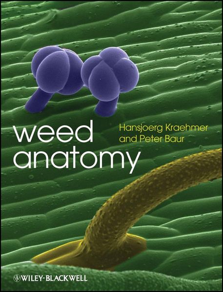 Produktbild: Weed Anatomy