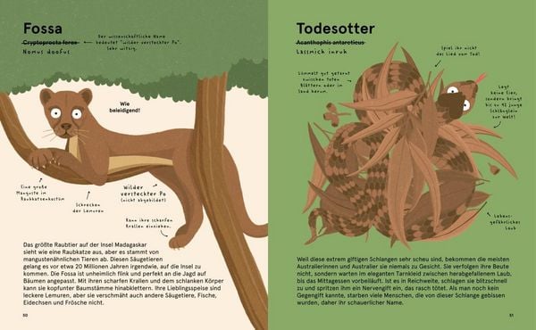Produktbild: Das Lexikon gruseliger Tiere