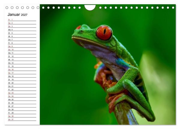 Produktbild: Costa Rica &ndash; Tierparadies im Regenwald (Wandkalender 2027 DIN A4 quer), CALVENDO Monatskalender