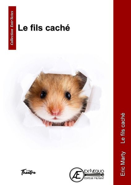Produktbild: Le fils cach&eacute;