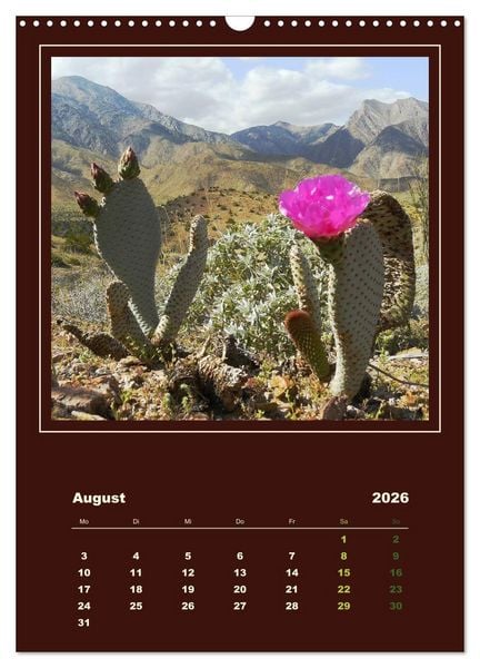 Produktbild: Wilde Kakteen Amerikas (Wandkalender 2026 DIN A3 hoch), CALVENDO Monatskalender