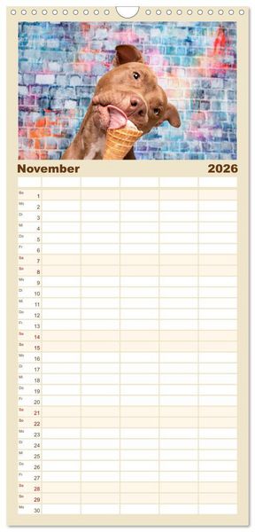 Produktbild: Familienplaner 2026 - Cool Dogs - Hunde-Spa&szlig; im Studio mit 5 Spalten (Wandkalender, 21 x 45 cm) CALVENDO