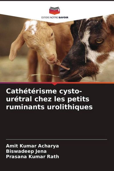Produktbild: Cath&eacute;t&eacute;risme cysto-ur&eacute;tral chez les petits ruminants urolithiques