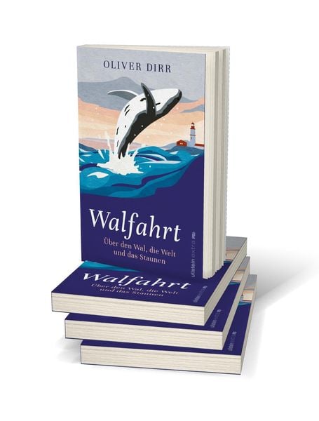 Produktbild: Walfahrt