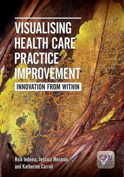 Produktbild: Iedema, R: Visualising Health Care Practice Improvement