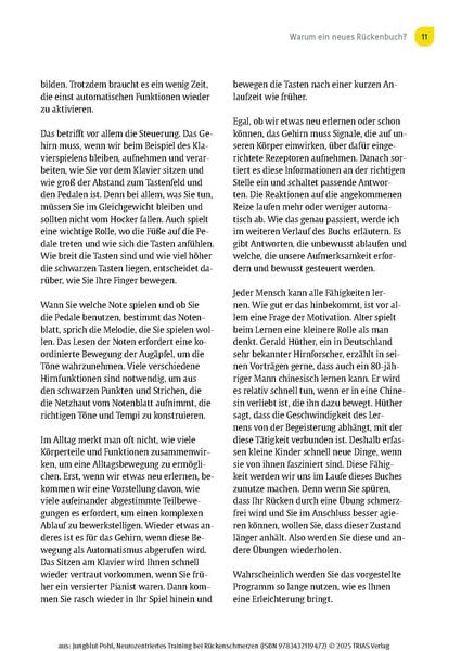 Neurozentriertes Training bei Rückenschmerzen