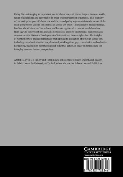 Produktbild: Perspectives on Labour Law