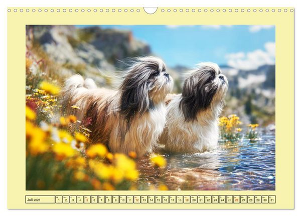 Produktbild: Shih Tzu Gl&uuml;ck. Zauberhafte Hunde im alpinen Wandergl&uuml;ck (Wandkalender 2026 DIN A3 quer), CALVENDO Monatskalender