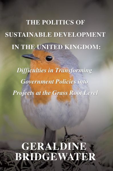 Produktbild: Politics Of Sustainable Development In The United Kingdom