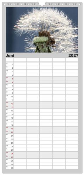 Produktbild: Familienplaner 2027 - Puste mal! mit 5 Spalten (Wandkalender, 21 x 45 cm) CALVENDO