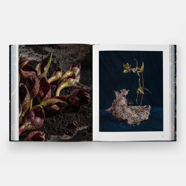 Produktbild: Emily Thompson Flowers
