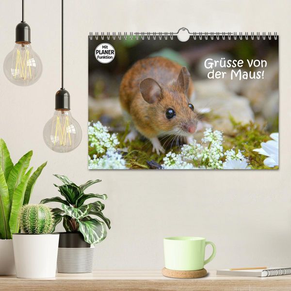 Produktbild: Gr&uuml;sse von der Maus! (Wandkalender 2026 DIN A4 quer), CALVENDO Monatskalender