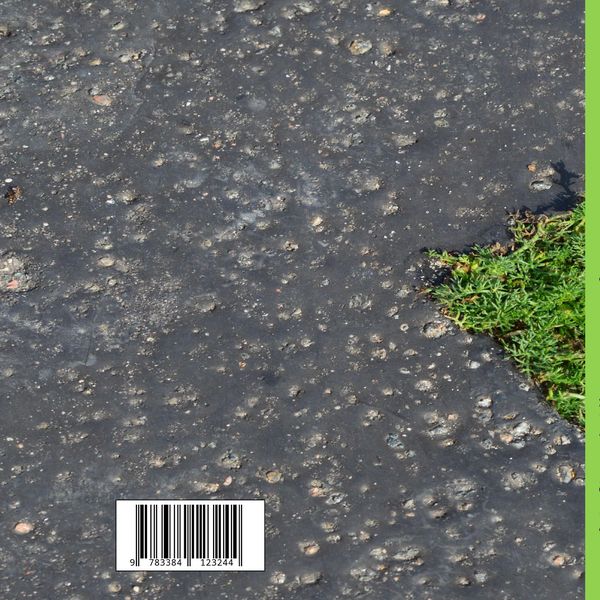 Produktbild: Mit Haiku durch das Jahr