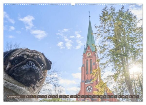 Produktbild: Reinbek mopsfidel (Wandkalender 2026 DIN A2 quer), CALVENDO Monatskalender