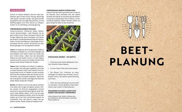 Produktbild: Gartenmomente: Blumen im Garten