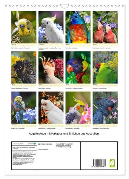 Produktbild: Auge in Auge mit Kakadus und Sittichen aus Australien (Wandkalender 2026 DIN A3 hoch), CALVENDO Monatskalender