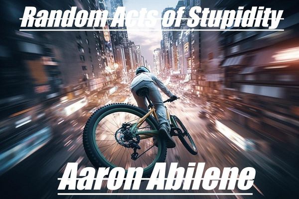 Produktbild: Random Acts of Stupidity