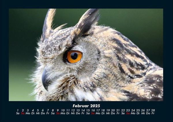 Produktbild: Welt der V&ouml;gel 2025 Fotokalender DIN A4