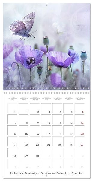 Produktbild: Magical Poppies (Wall Calendar 2026 12 &times; 12 Inch) CALVENDO 12 Month Wall Calendar
