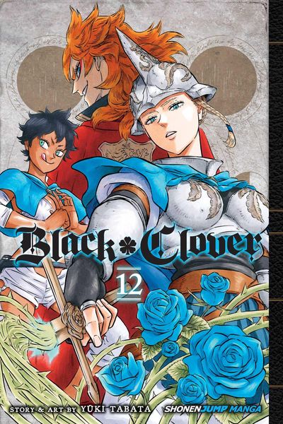 Produktbild: Black Clover, Vol. 12