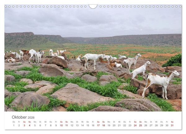Produktbild: Mali - Dogonland - Weltkultur- und Weltnaturerbe (Wandkalender 2026 DIN A3 quer), CALVENDO Monatskalender