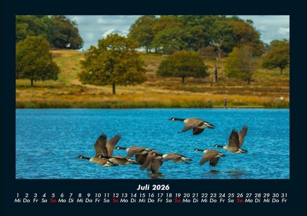 Produktbild: Seeblick 2026 Fotokalender DIN A4