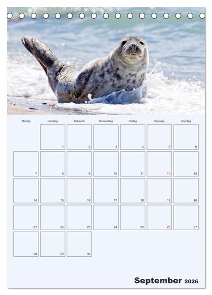 Produktbild: Wildes Leben auf Helgoland (Tischkalender 2026 DIN A5 hoch), CALVENDO Monatskalender