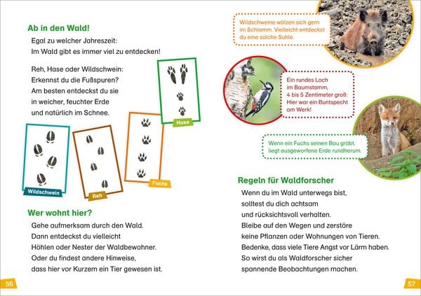 Produktbild: WAS IST WAS Erstes Lesen Band 6. Wald