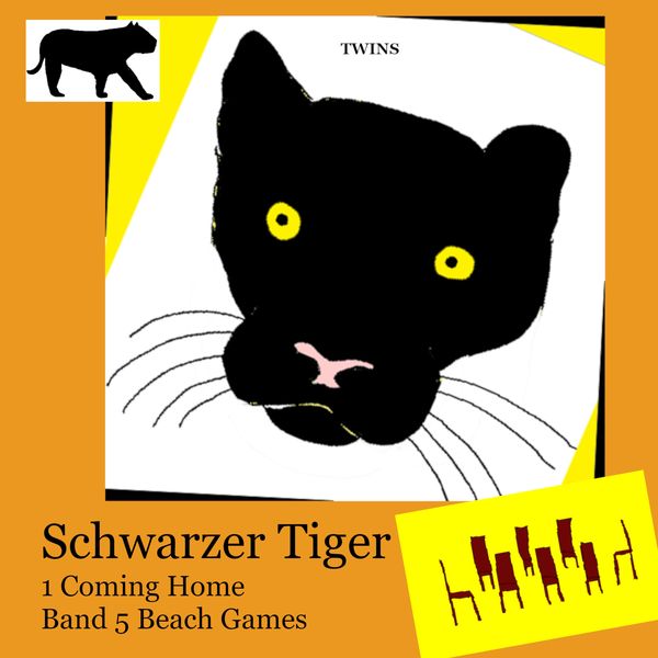 Produktbild: Schwarzer Tiger 1 Coming Home