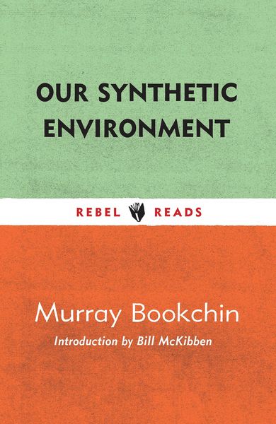 Produktbild: Our Synthetic Environment