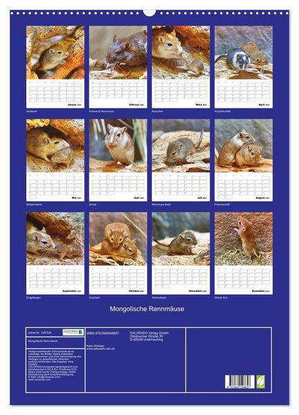 Produktbild: Mongolische Rennm&auml;use (Wandkalender 2027 DIN A2 hoch), CALVENDO Monatskalender