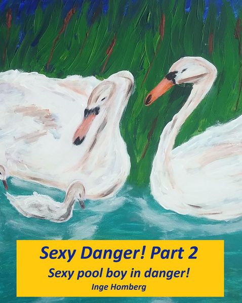 Produktbild: Sexy Danger! Part 2